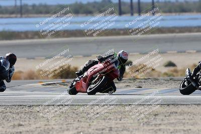 media/Nov-16-2025-Race Pace (Sun) [[8c5fa54630]]/Verified Riders/3-Turn 14 (1045am)/